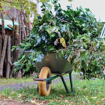 Horizon Espérance - Les travaux agricoles